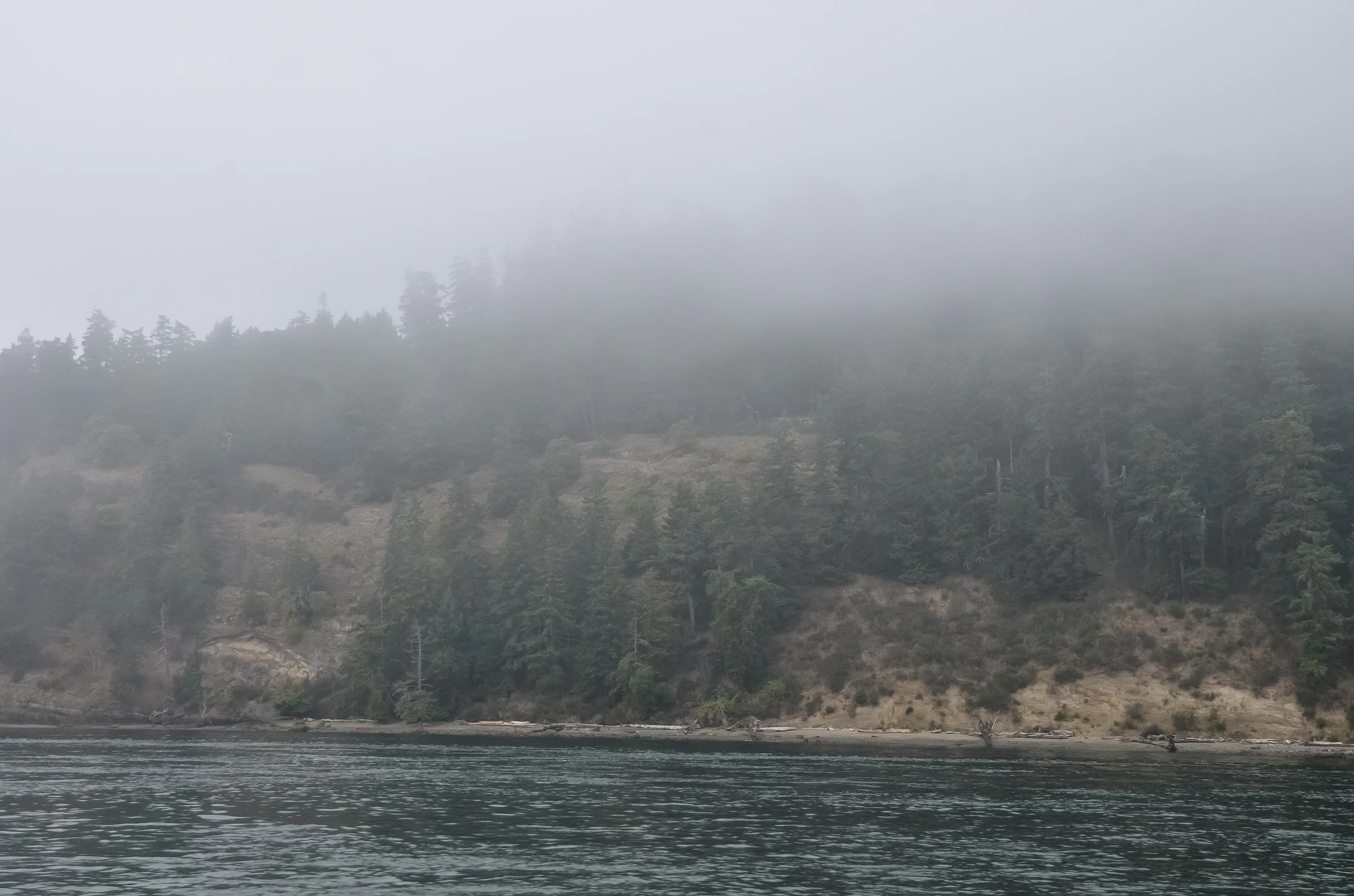 misty coast 196 — Descargar