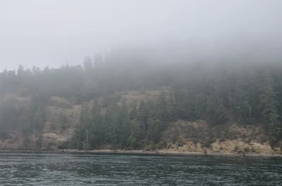 misty coast 196 — Descargar