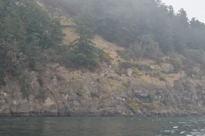 misty coast 197 — Скачать