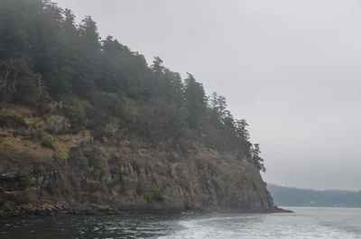 misty coast 198 — Descargar