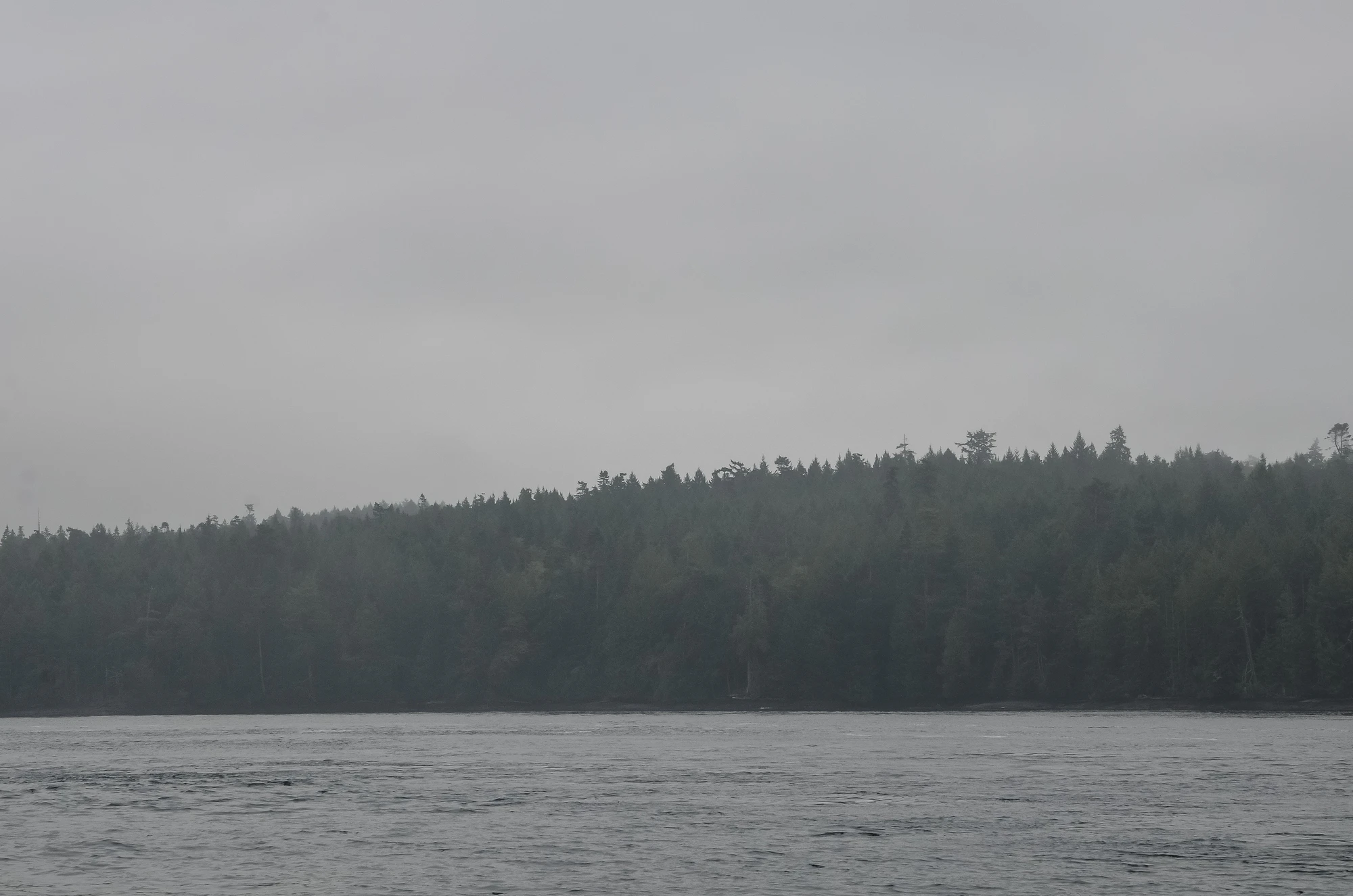 misty coast 199 — Descargar