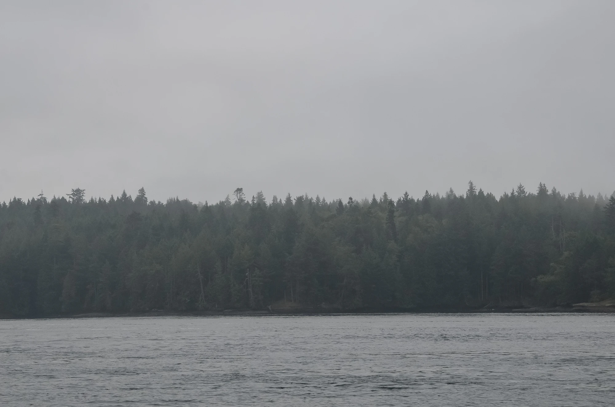 misty coast 200 — Descargar