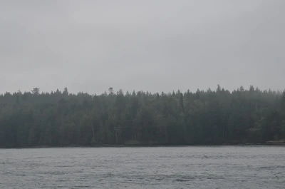 misty coast 200 — Descargar