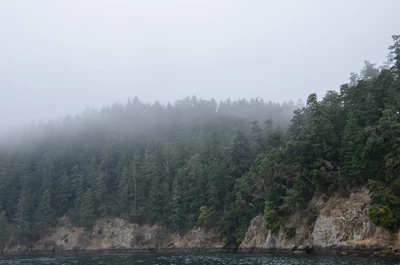 misty coast 203 — Скачать
