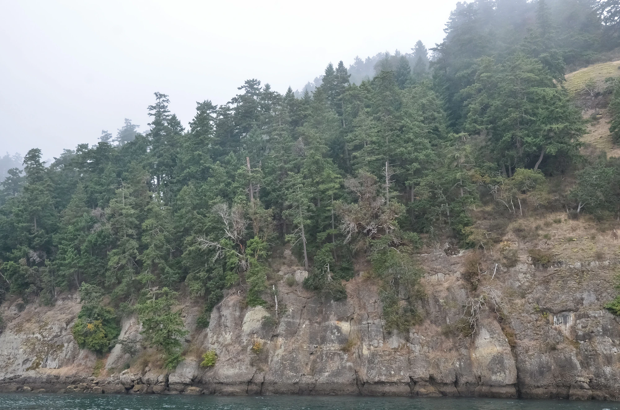 misty coast 204 — Скачать