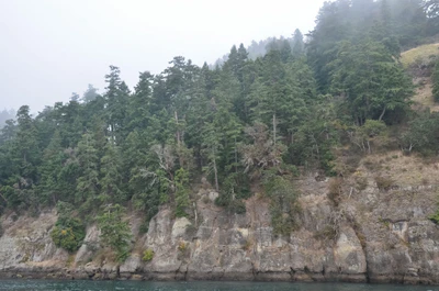 misty coast 204 — Скачать