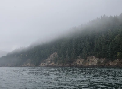 misty coast 205 — Скачать