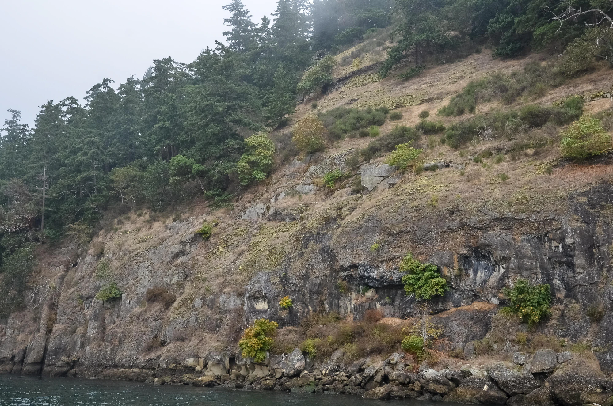 misty coast 207 — Descargar