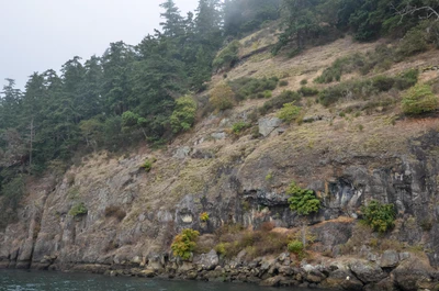 misty coast 207 — Descargar