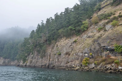 misty coast 208 — Скачать