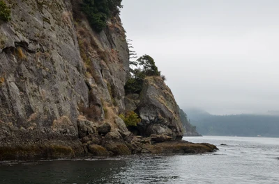misty coast 210 — Скачать