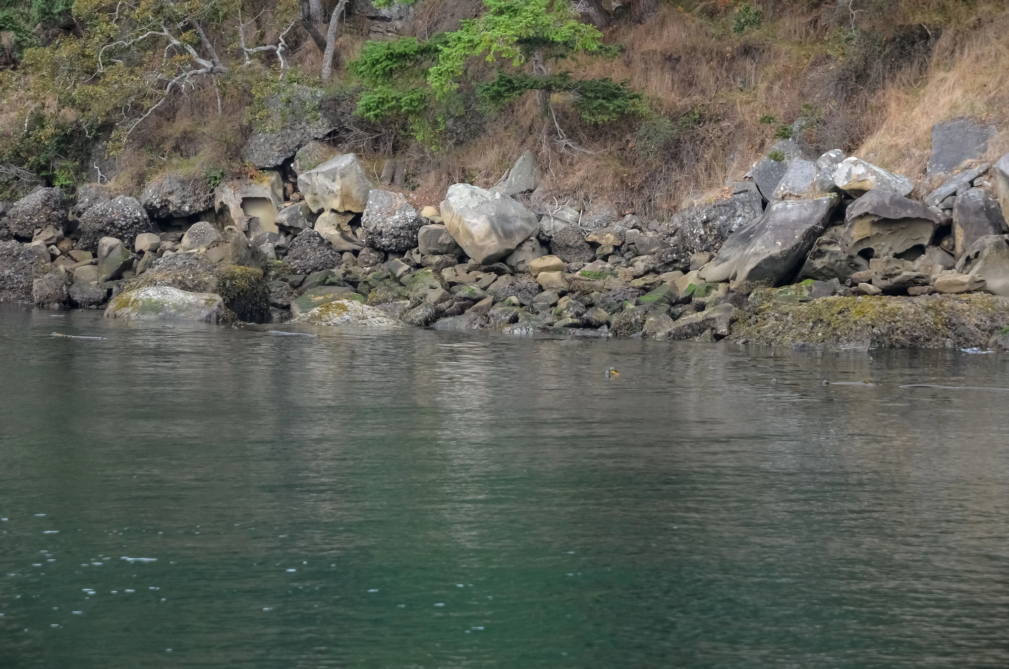 misty coast 226 — Descargar