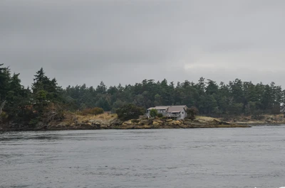 misty coast 249 — Download