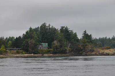 misty coast 250 — Скачать