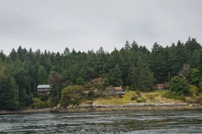 misty coast 253 — Download