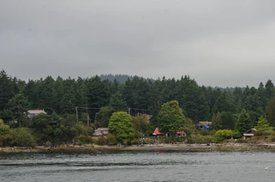 misty coast 257 — скачать