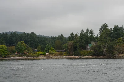 misty coast 258 — скачать