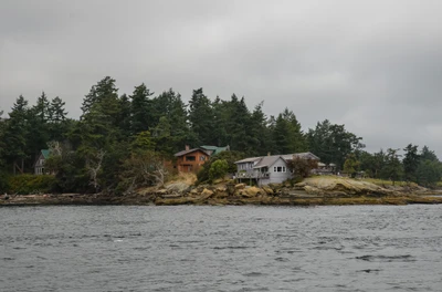 misty coast 259 — скачать