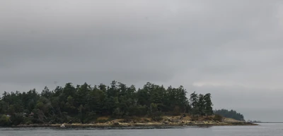 misty coast 261 — скачать