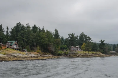 misty coast 263 — скачать