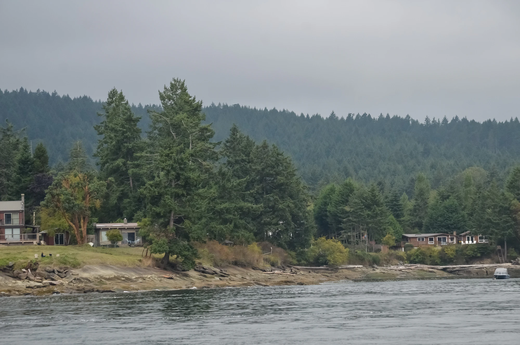 misty coast 269 — Descargar