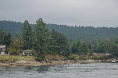 misty coast 269 — скачать