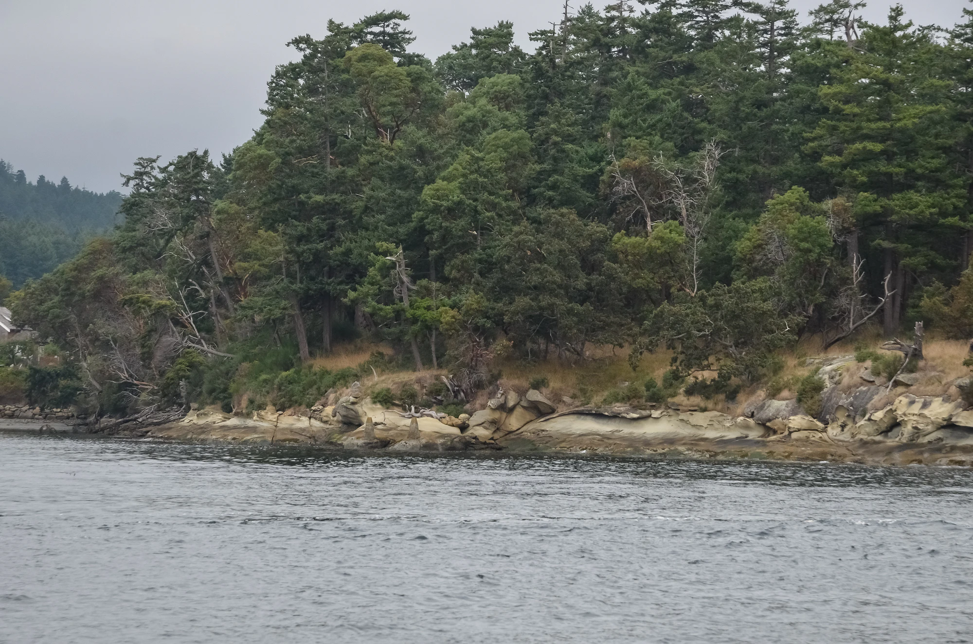 misty coast 271 — Descargar