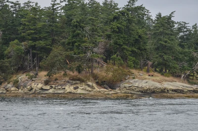 misty coast 272 — скачать