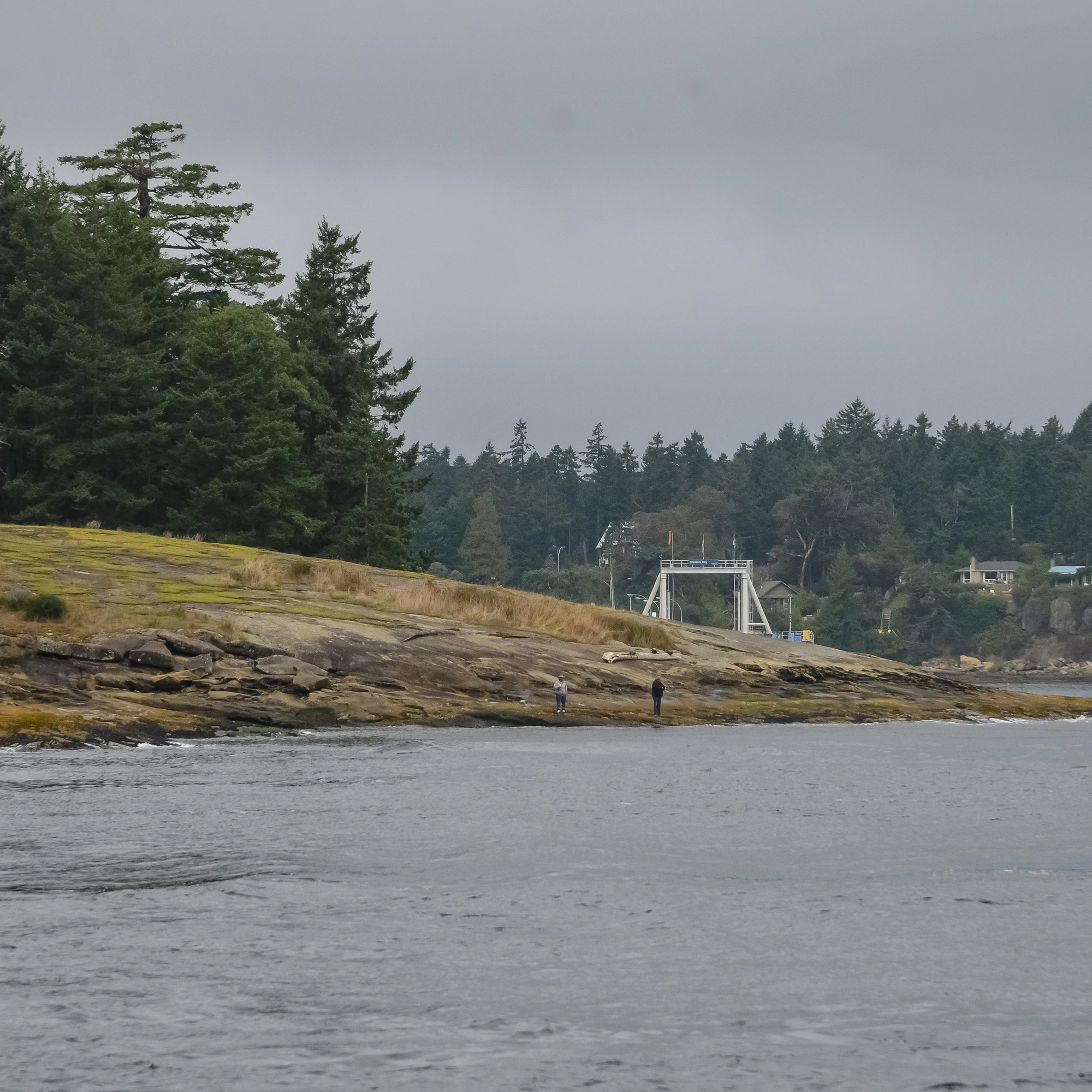 misty coast 273 — Descargar