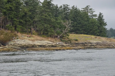 misty coast 274 — скачать