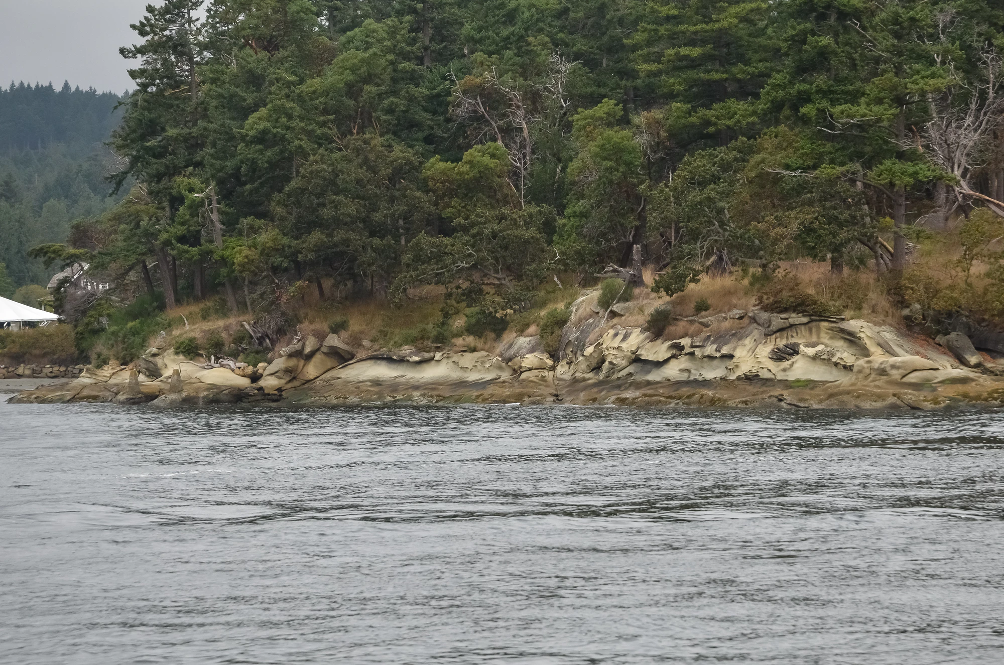 misty coast 275 — Descargar