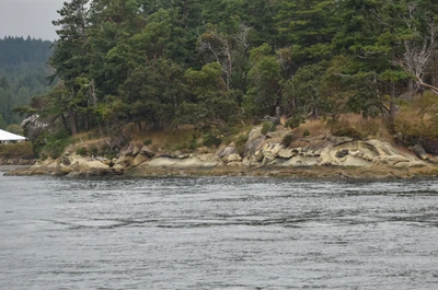 misty coast 275 — скачать