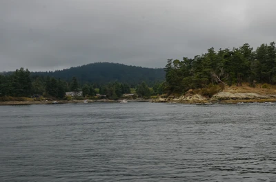 misty coast 276 — скачать