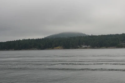 misty coast 279 — скачать