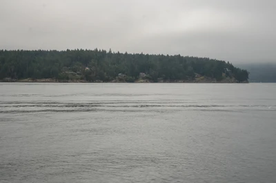 misty coast 281 — скачать