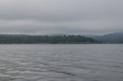 misty coast 284 — скачать