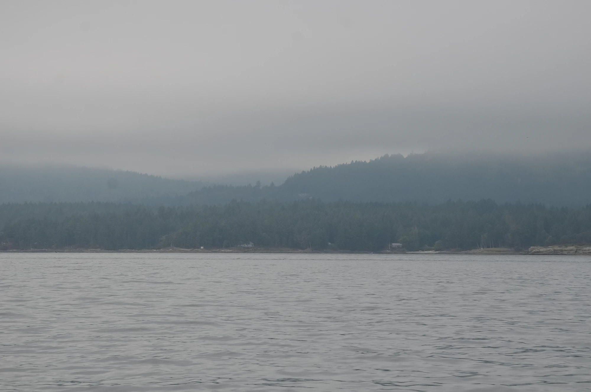 misty coast 287 — Descargar