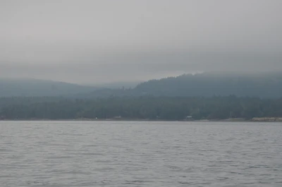 misty coast 287 — скачать