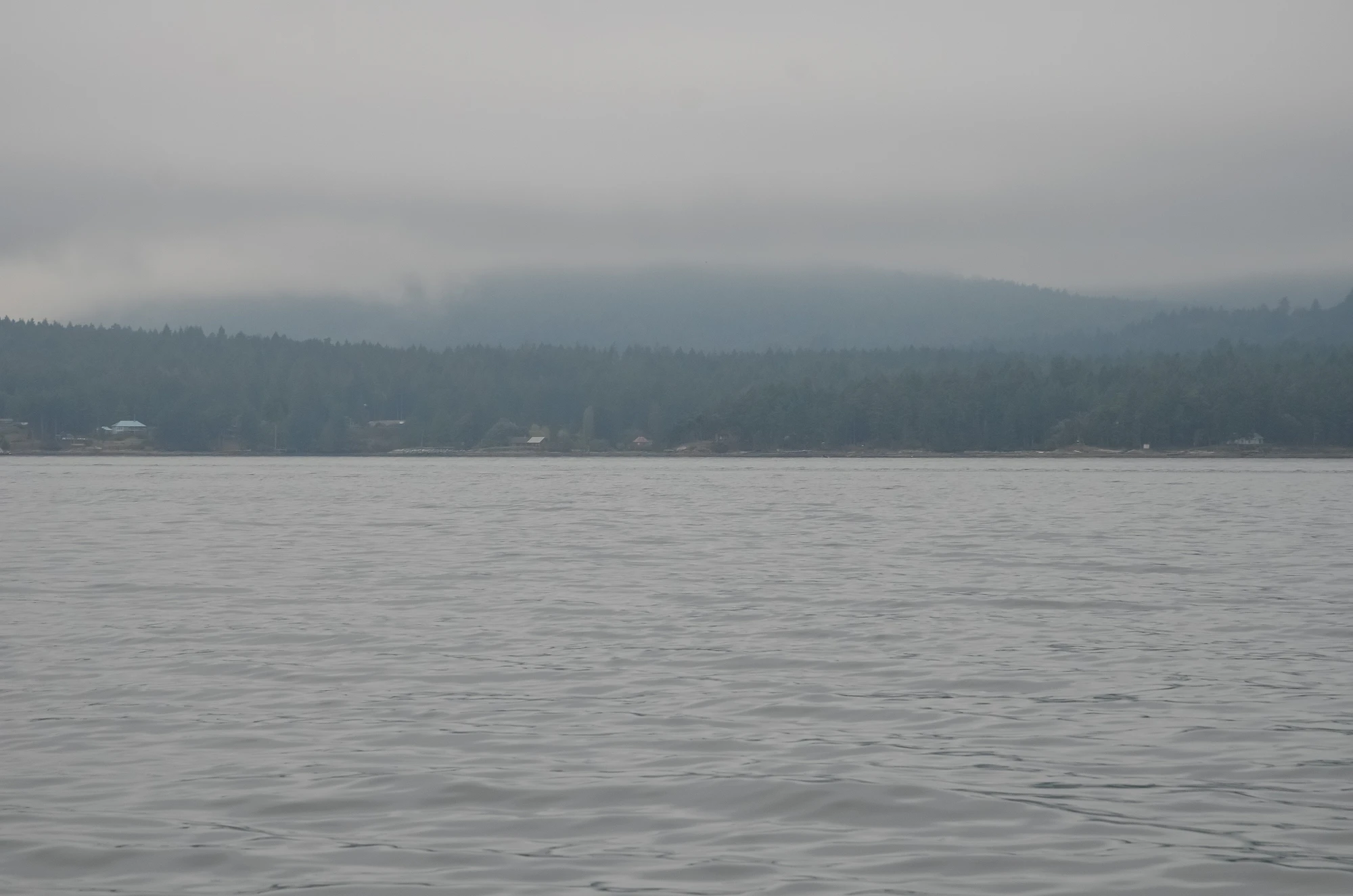 misty coast 288 — Descargar