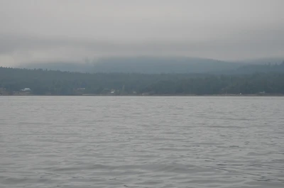 misty coast 288 — скачать