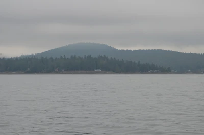 misty coast 290 — скачать