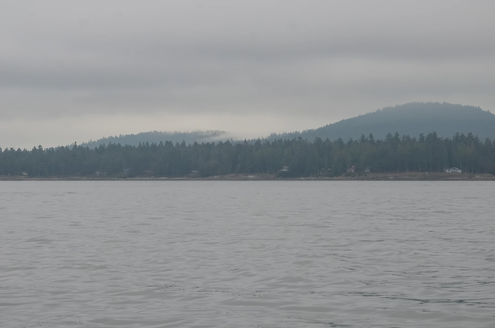 misty coast 291 — Скачать