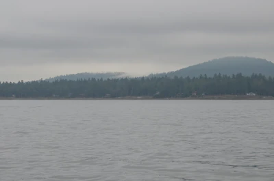 misty coast 291 — скачать