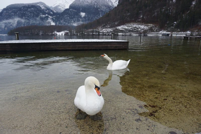 mountain lake medieval town 016 — Descargar