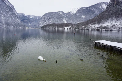 mountain lake medieval town 021 — Скачать
