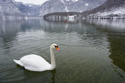 mountain lake medieval town 025 — Descargar
