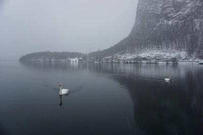 mountain lake medieval town 044 — Descargar
