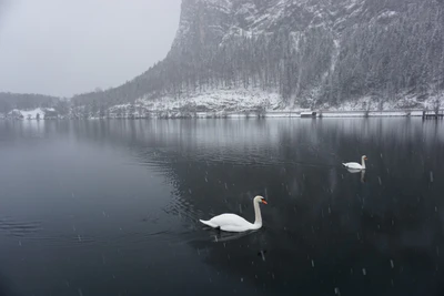 mountain lake medieval town 045 — Descargar
