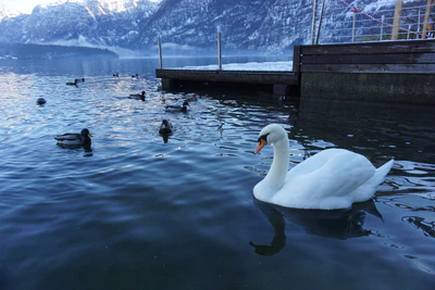 mountain lake medieval town 086 — Descargar