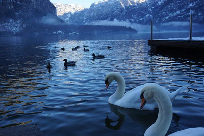 mountain lake medieval town 087 — Скачать
